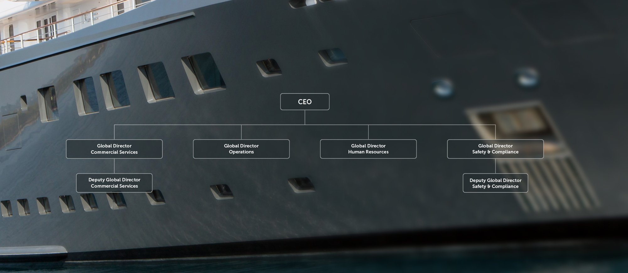 Organisational Chart of Management Team of MACI